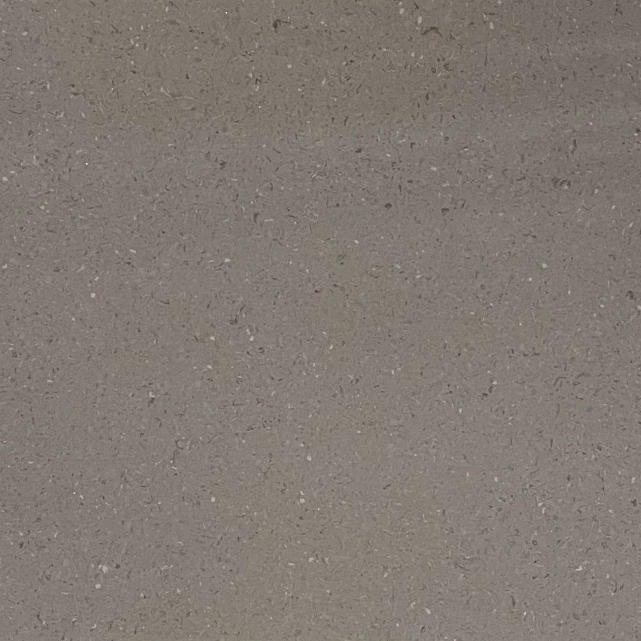 Autumn Grey