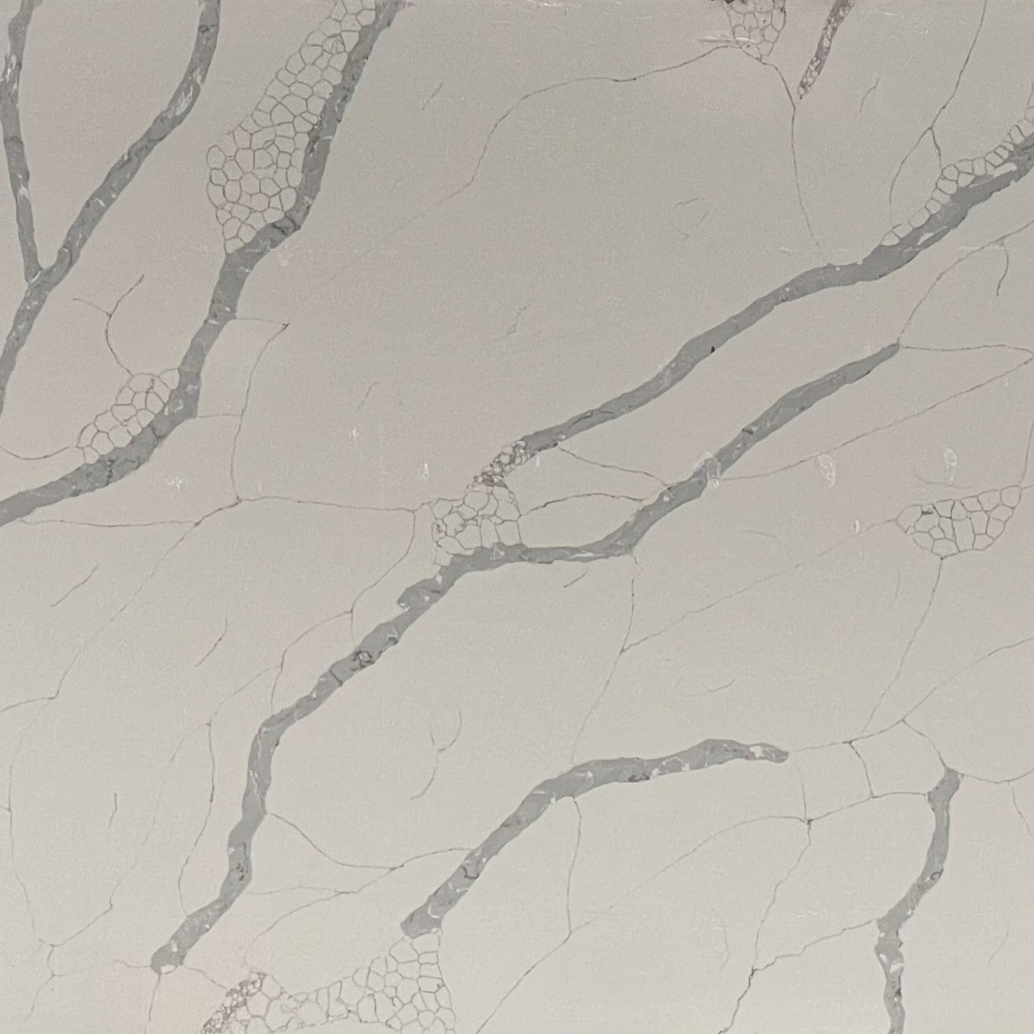 Calacatta Atlas