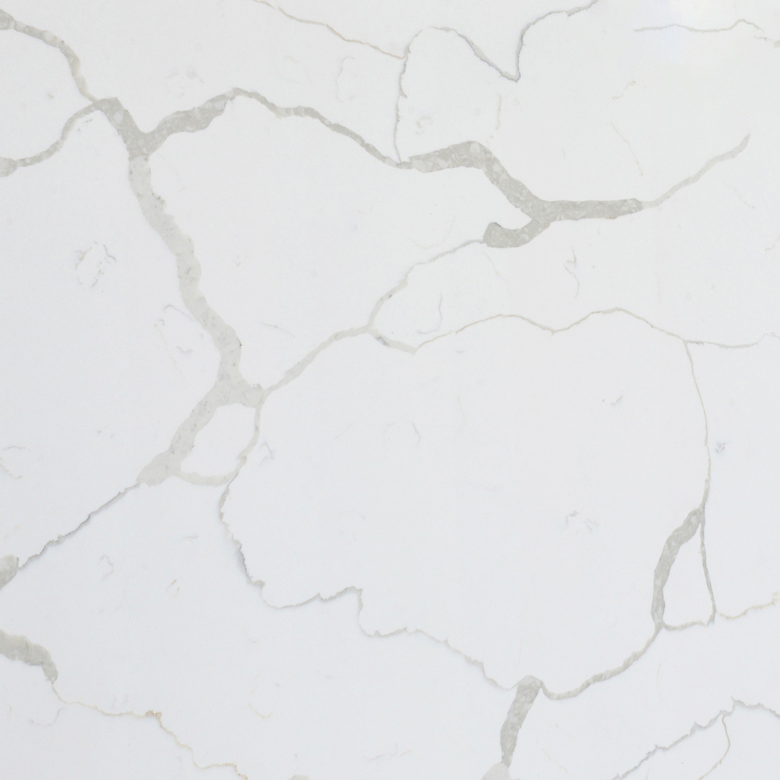 Elevate Your Kitchen with Calacatta Mora Quartz Countertops – GlobalFair