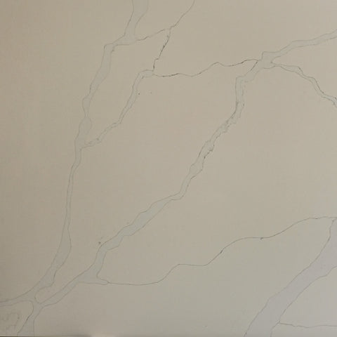 Calacatta Splendor