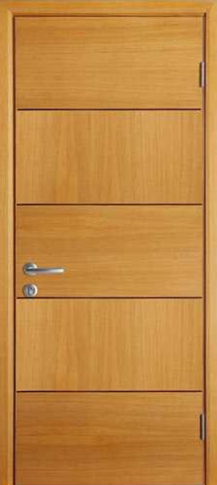 Engineered Wood Flush Door 16