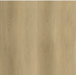 GF-US 1079-2