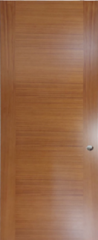 Slab Door 4